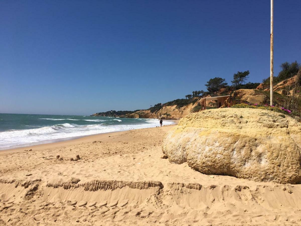 Albufeira Monte Balaiaアパートメント エクステリア 写真